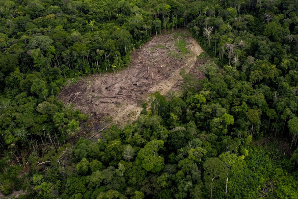 Új tervet hirdetett az amazóniai illegális erdőirtások felszámolására a brazil elnök
