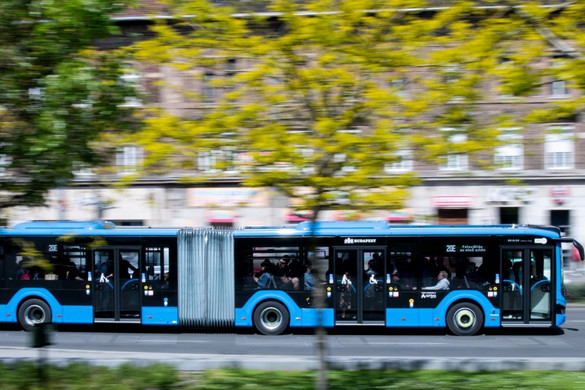 A Fülöp-szigeteki buszsofőrök lekörözhetik a magyarokat Budapesten