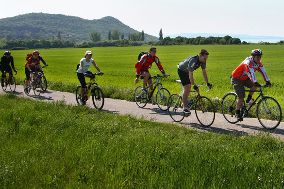 Indul a Mozdulj Balaton!