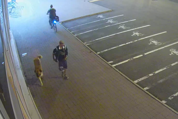 Kutyájával támadt másokra, keresi a rendőrég