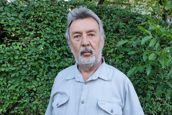A piros szegfű elhervadása alulnézetből