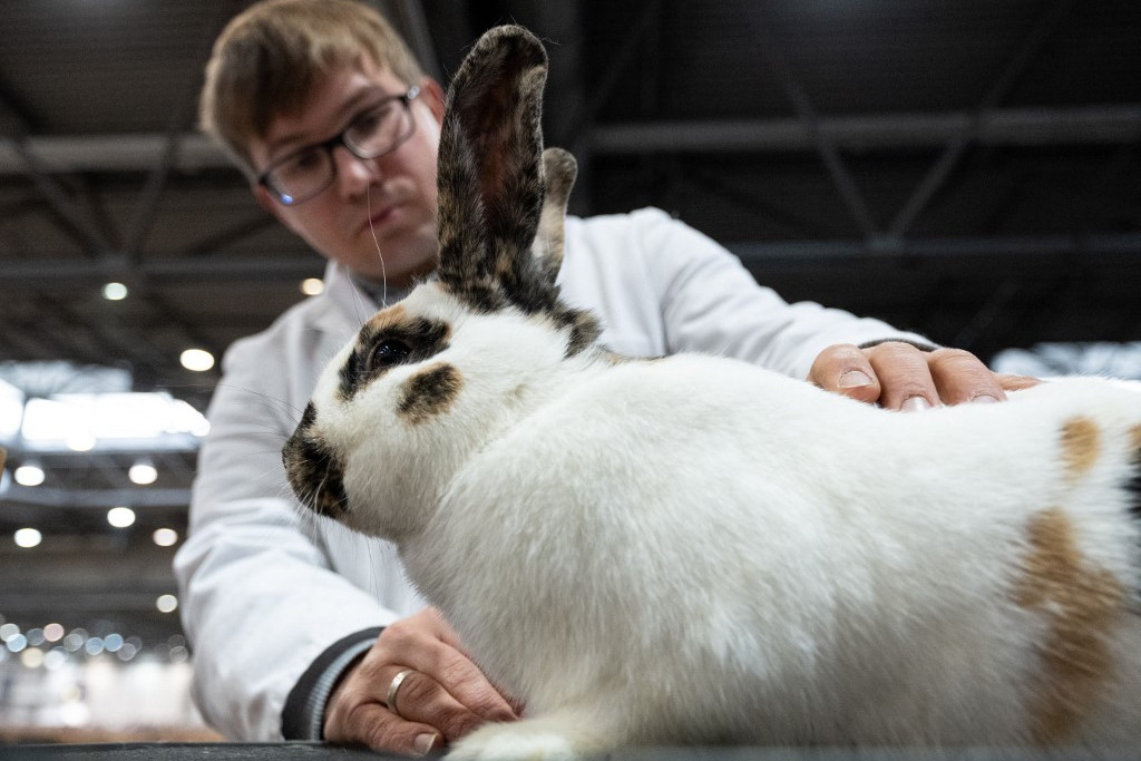 Fotó: HENDRIK SCHMIDT / DPA / dpa Picture-Alliance via AFP x