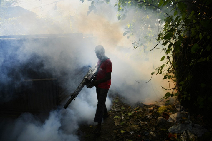 Fotó: NurPhoto via AFP/NurPhoto/Syed Mahamudur Rahman Uniós ügynökség: A glifozát nem jelent elfogadhatatlan kockázatot az egészségre és a környezetre