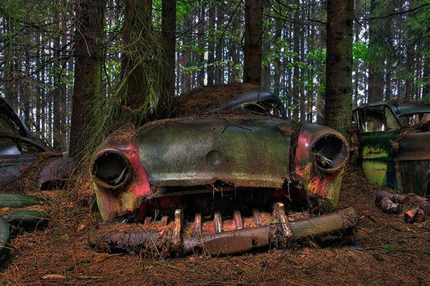 Fotó: Facebook/Châtillon Car Cemetery Tömegével érkeznek a kincskereső kalandorok az elhagyott erdőbe