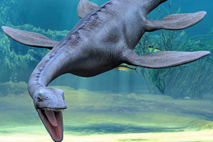 Fotó: NorthFoto Új fordulat a Loch Ness-i szörny ügyében?
