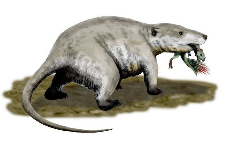 Borulhat a tudományos elmélet: Mégis támadtak a dinoszauruszokra emlősök