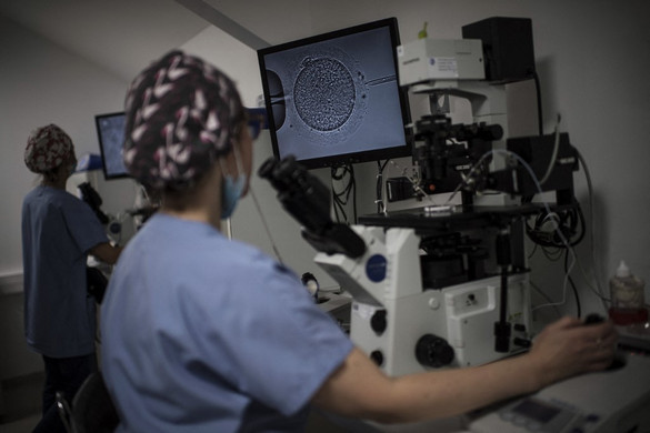 Elérhető itthon is a petesejtfagyasztás