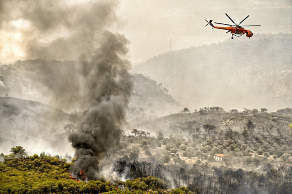 Az EU légi és szárazföldi segítséget nyújt Görögországnak az erdőtüzek megfékezéséhez + GALÉRIA