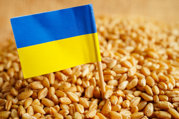 Reuters: Az Európai Bizottságnak nincs pénze az ukrán gabonaexport támogatására