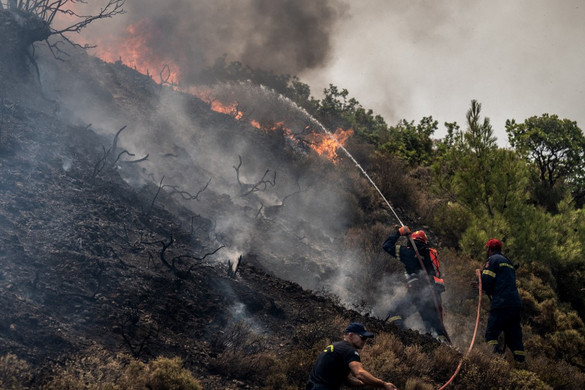 Sikerült csillapítani a Görögországban pusztító erdőtüzeket