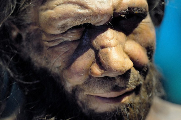 A neandervölgyiek 40 ezer évvel ezelőtt kihaltak, de soha nem volt több DNS-ük a Földön