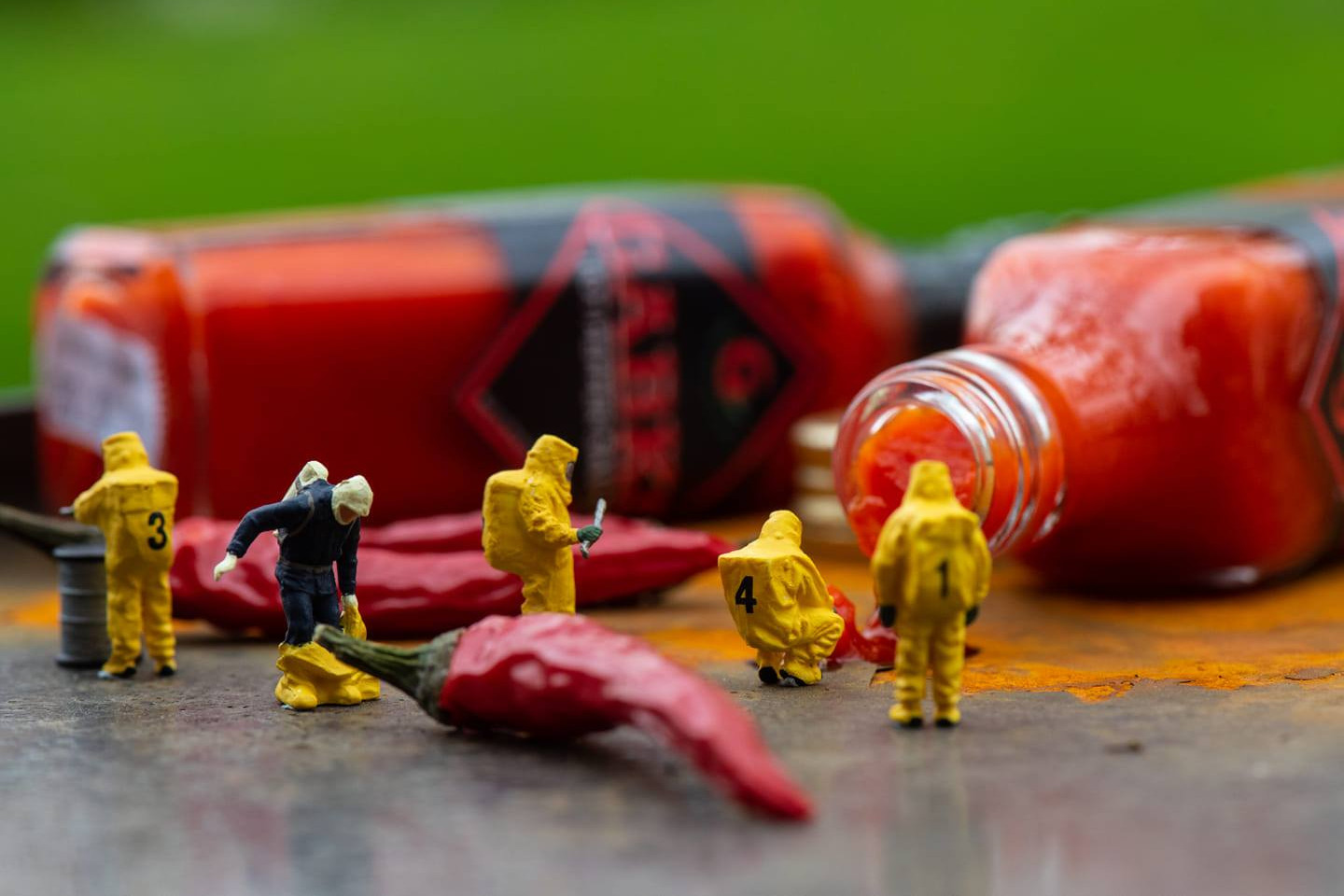 Fotó: A GaBko Chili archívumából A paprikaszüret ilyen védőfelszerelésben zajlik