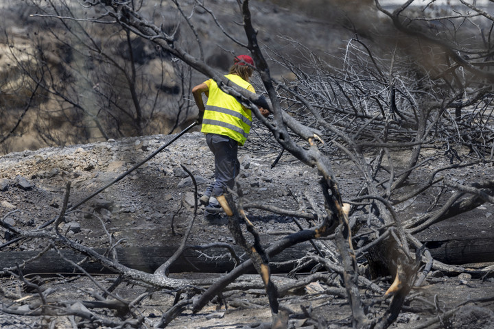 Már 79 embert tartóztattak le a görögországi erdőtüzek miatt