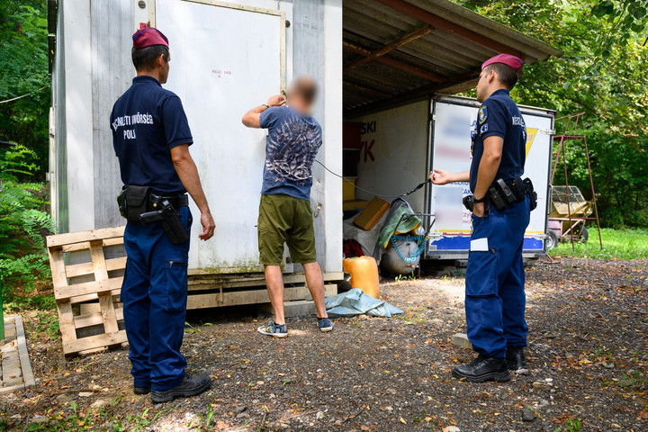 Egy 9 éves fiú ölte meg a jeladós farkast