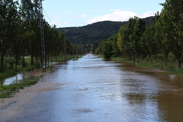 Újra biztonságos a Sajóból kifogott halak fogyasztása