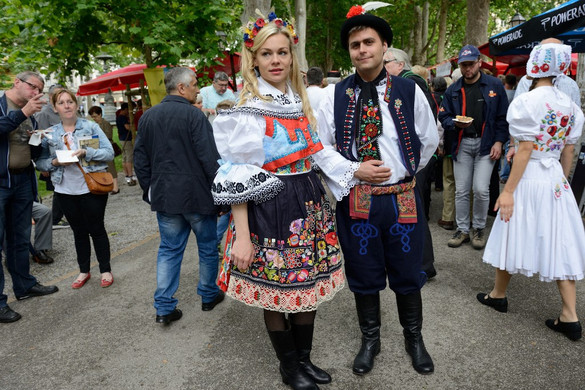 Komoly sikert ért el a horvátországi magyarság