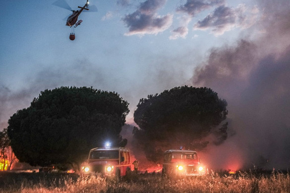 Evakuáltak több kempinget Dél-Franciaországban egy nagy erdőtűz miatt + GALÉRIA