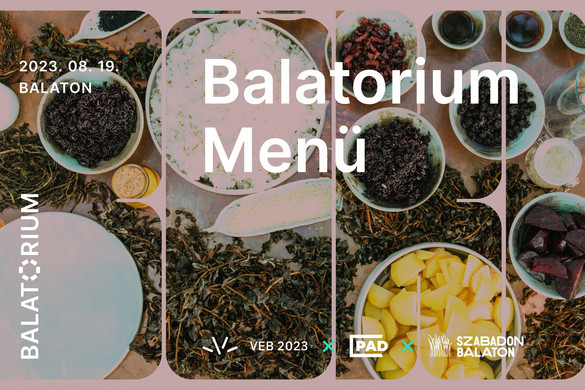 Ökológiai és kulturális hetet tartanak a Balatonon