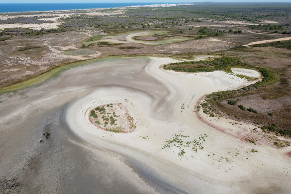 Kiszáradt a Donana Nemzeti Park legnagyobb állandó lagúnája