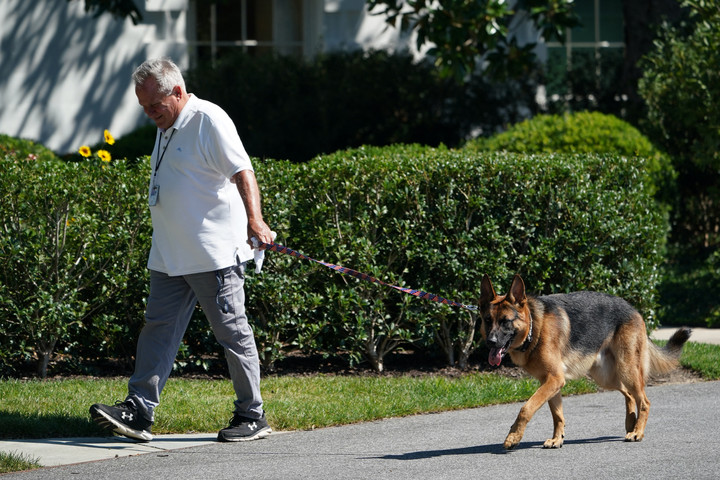 Most egy titkosügynököt harapott meg Biden kutyája