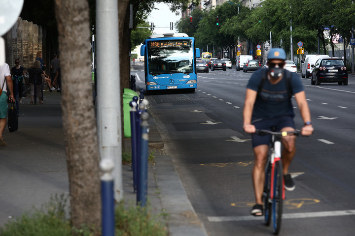 Fotó: MH archív/Papajcsik Péter Fordulat a felszámolt buszsáv ügyében, a BKK megkérdőjelezte saját magát