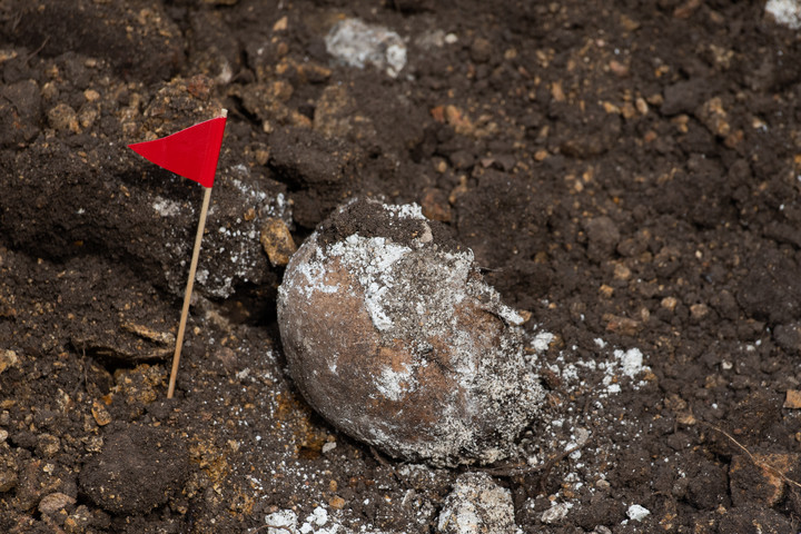 Fotó: NorthFoto Ősember maradványait találták meg