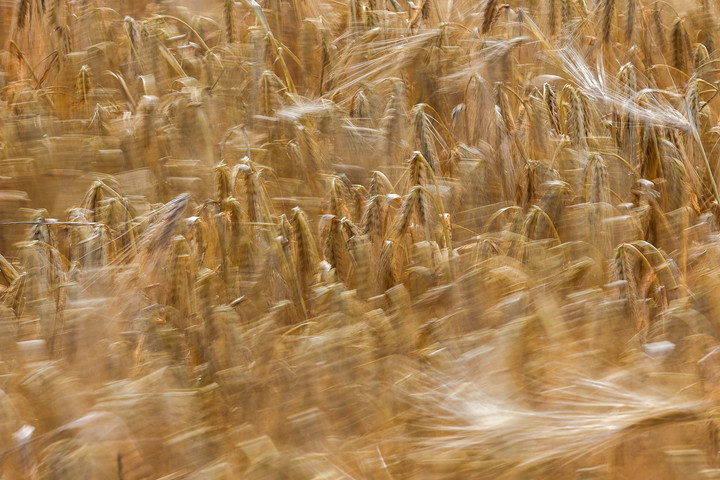 Fotó: NorthFoto Német váltás szankciós időkben