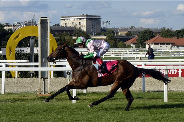 Fotó: MTI/Kovács Attila Frankie Dettori meghódította a Kincsem Parkot is