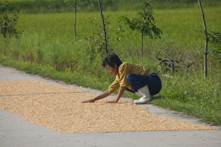 Javulhatott az élelmezési helyzet Észak-Koreában