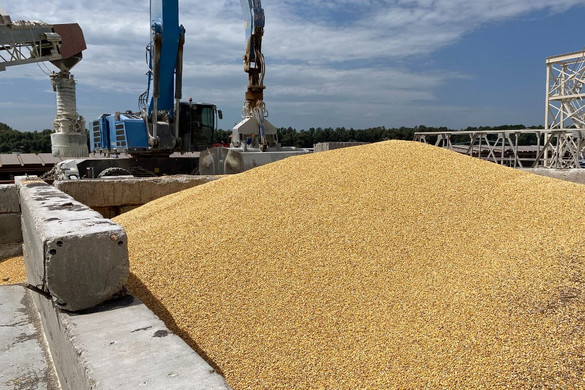 A lengyel kormány az ukrán gabonafélék behozatali tilalmának meghosszabbítására szólította fel Brüsszelt