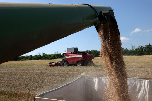 Magyarország mindenképpen fenntartja az ukrán gabona importjának tilalmát