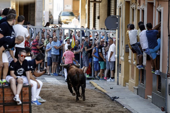 Felnyársalta a bika egy spanyolországi bikafuttatás nézőjét