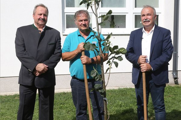 Nagy István: Nyolcezer fát ültetnek el idén ősszel az Országos Településfásítási Programban