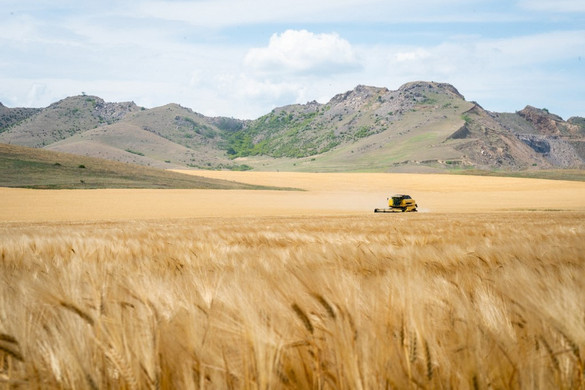 A román gazdák szerint moldovai áruként érkezett az ukrán gabona Romániába