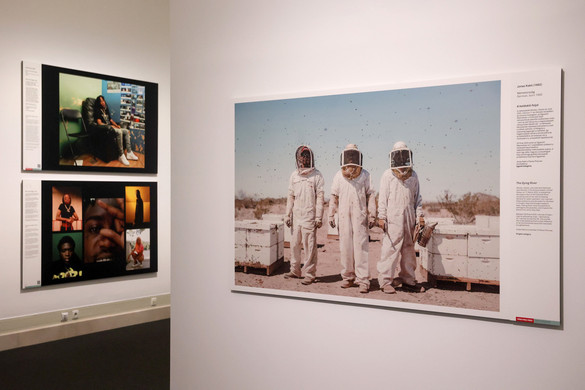 Megnyílt a World Press Photo kiállítás a Nemzeti Múzeumban + GALÉRIA