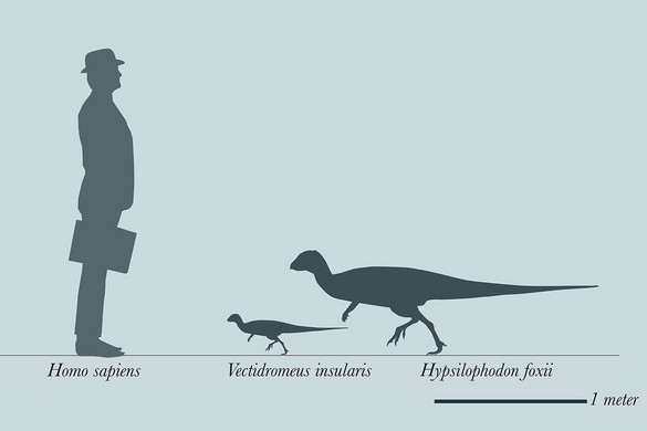 Új, csirkeméretű dinoszauruszt fedeztek fel