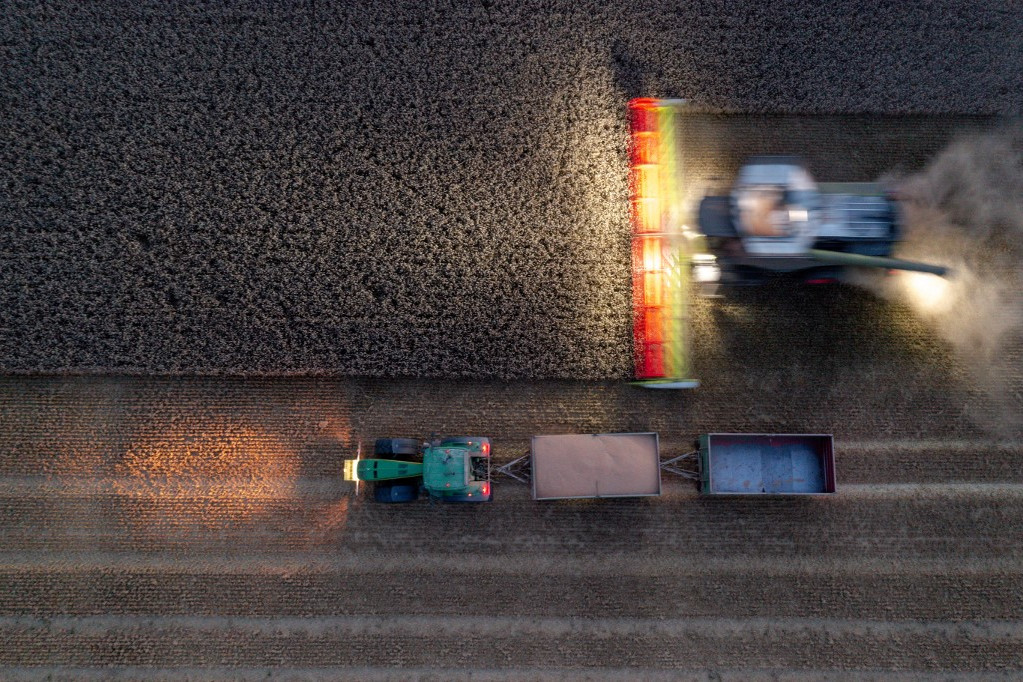 Fotó: JENS BUTTNER / DPA / dpa Picture-Alliance via AFP Van ahol sötétedéskor felkapcsolják a fényszórót és éjjel is vágják a gabonát
