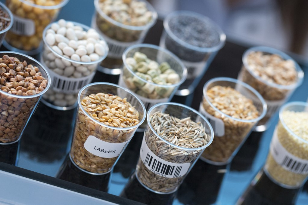 Vetőmagok és gabonafélék egy élelmiszer-biztonsági laboratóriumban