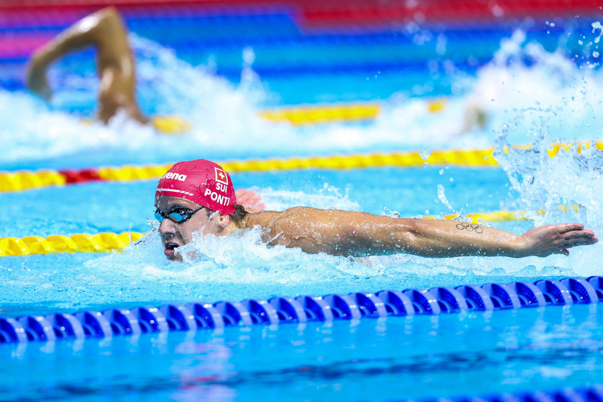 Ponti Noe - World Aquatics Swimming World Cup Budapest - Úszó Világ Kupa Budapest - Férfi Aranyfutam