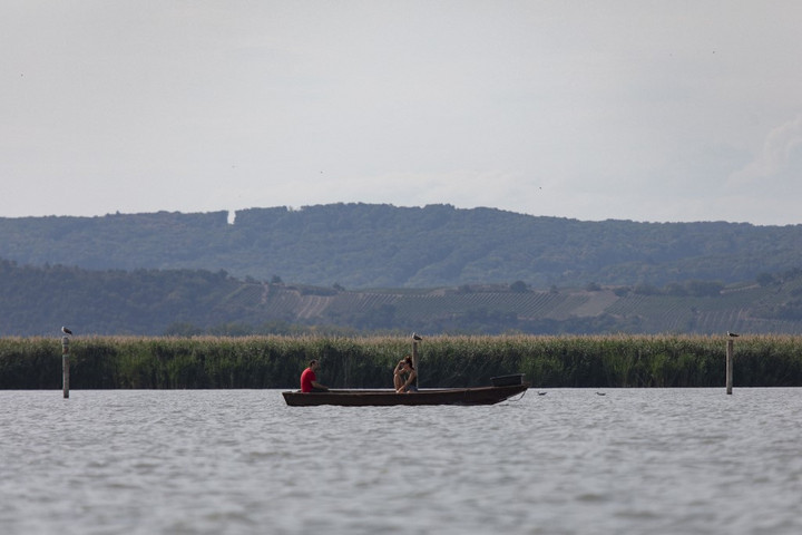 Fotó: AFP/APA/Alex Halada UNESCO-szakértők a Fertő tónál