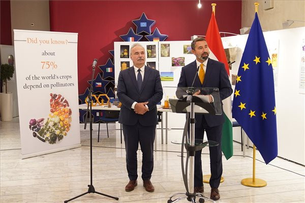 Fotó: MTI/A Fidesz európai parlamenti képviselőcsoportja A magyar méhészeti tevékenységet mutatták be Strasbourgban