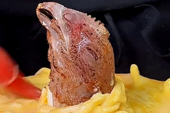 Ilyen ijesztő csirkés pitét még biztosan nem evett