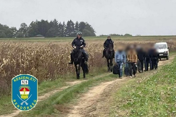 Lovas rendőrök csaptak le a kukoricásban megbújó migránsokra