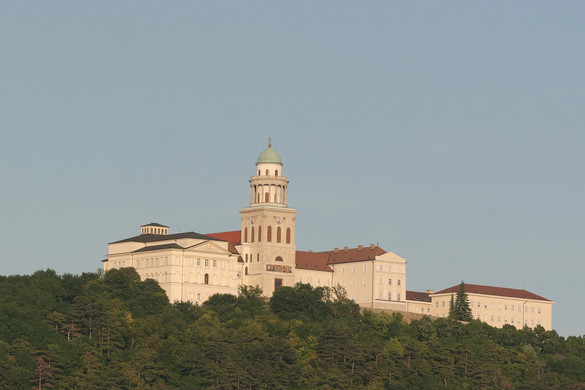Rovarinvázió a Pannonhalmi Főapátságban