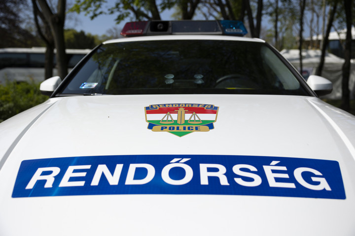 Marihuánaültetvényt számoltak fel a rendőrök
