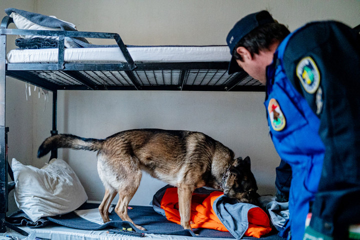 Közös bevetésen voltak a büntetés-végrehajtás és a rendőrség kutyái