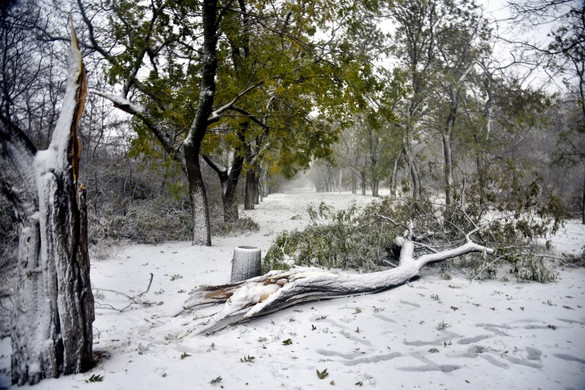 Több sérültje is van az Ukrajnára lecsapó hóviharnak