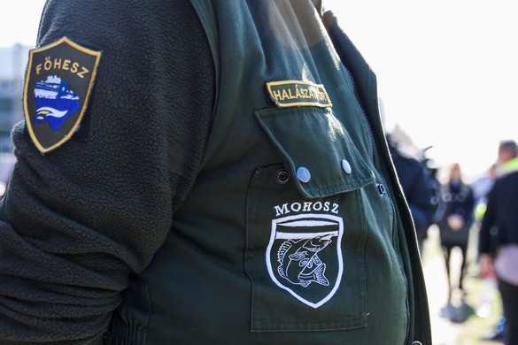 Háromnaponta indítanak nyomozást a rendőrök orvhalászat vétsége miatt