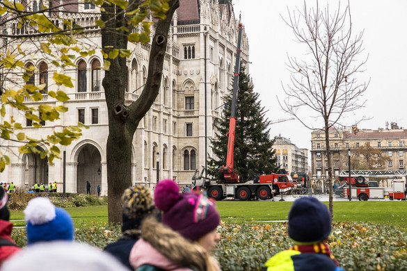 Hétfő reggel érkezik az ország karácsonyfája az Országház elé