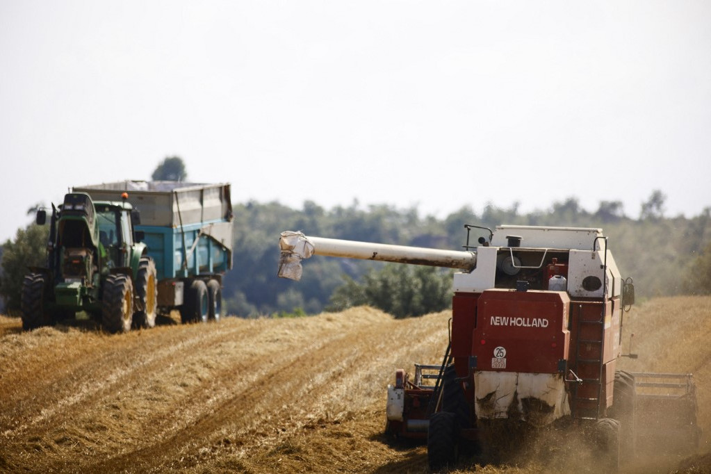 Spanyol gazdálkodók egy búzatáblát takarítanak be 2023 júliusában